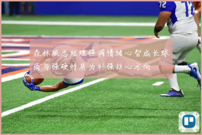 森林狼总经理强调情绪心智成长球商与强硬特质为补强核心方向