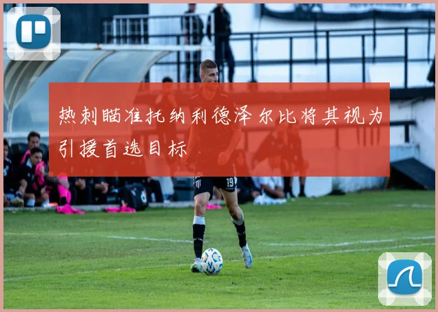 热刺瞄准托纳利德泽尔比将其视为引援首选目标
